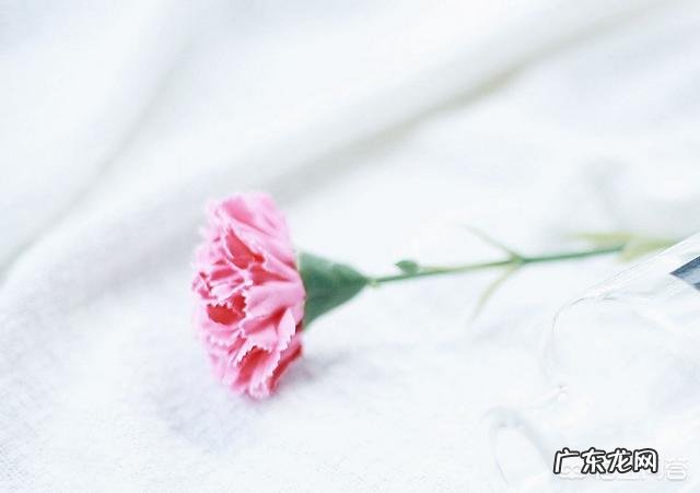 生活中的美是一种怎样的美?在生活中,你遇到过“美”吗?