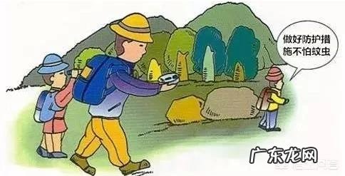 夏天怎样预防登革热?