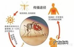 夏天怎样预防登革热？