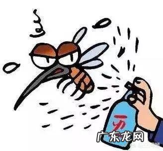 夏天怎样预防登革热?