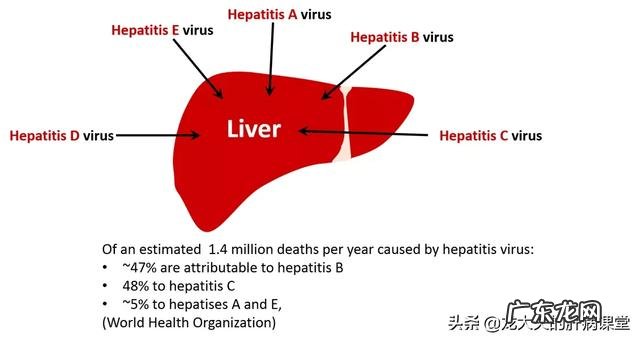 怎样预防乙肝、丙肝、甲肝?
