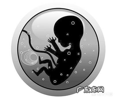 如何判定是否怀孕呢?