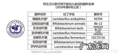 益生菌有哪些?有什么益处?