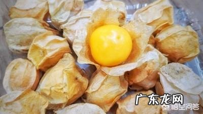 农村有种叫做“灯笼果”的植物有什么作用?现在价格高可以人工种植吗?