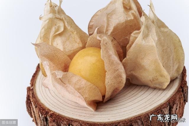 农村有种叫做“灯笼果”的植物有什么作用?现在价格高可以人工种植吗?