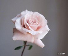 怎么可以吸引人的句子