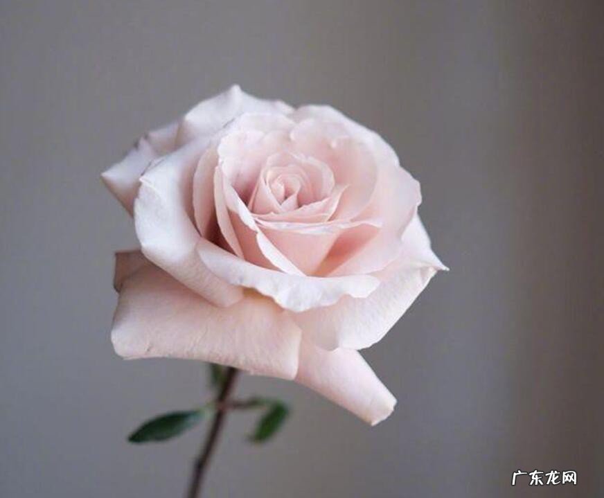 怎么可以吸引人的句子