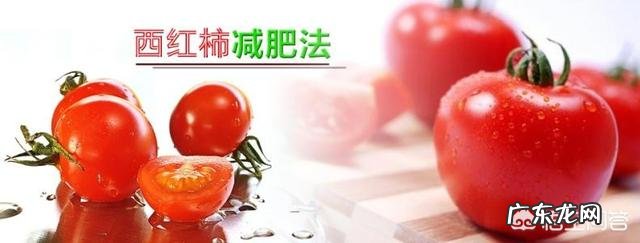 减肥可以吃西红柿吗?