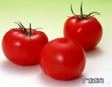 减肥可以吃西红柿吗？