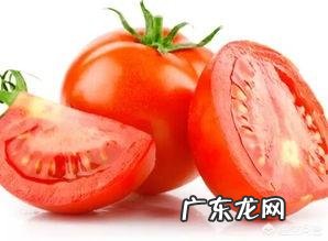 减肥可以吃西红柿吗?