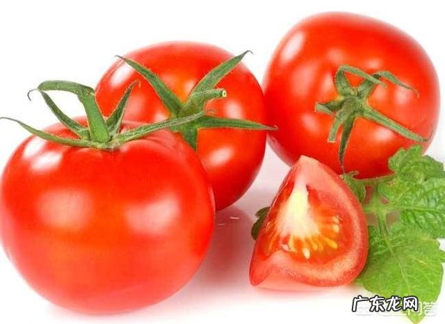 减肥可以吃西红柿吗?