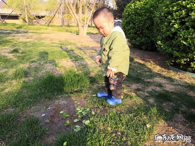 最近一直喝奶粉腹泻,想给宝宝换奶粉,原来的奶粉喝着不太适应,有什么推荐?