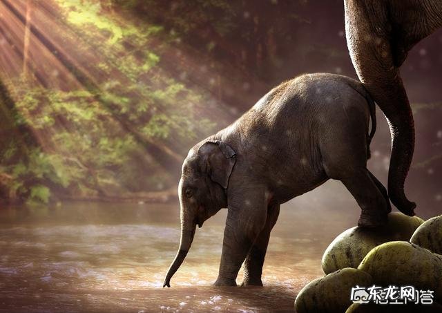 什么是亲子阅读？