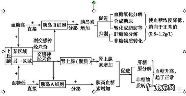 血糖高，饮食应该注意什么？