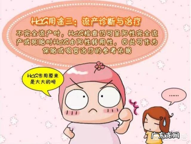 HCG是什么意思?