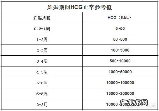 HCG是什么意思?