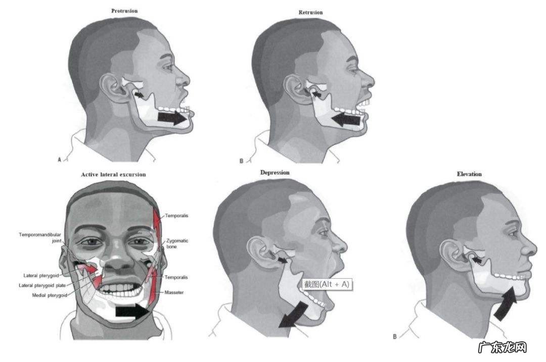 下巴脱臼怎么办自救