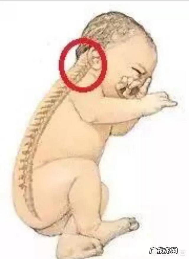 宝宝几个月可以竖着抱?