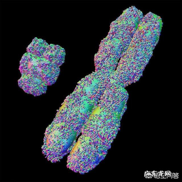 如何评价华大基因无创DNA检查正常但产妇孩子出生伴重要染色体缺陷?