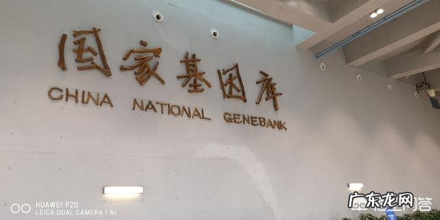 如何评价华大基因无创DNA检查正常但产妇孩子出生伴重要染色体缺陷?