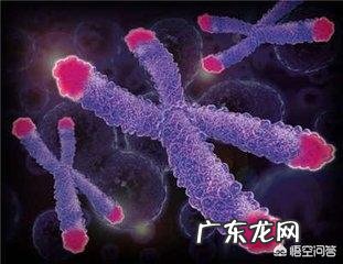 如何评价华大基因无创DNA检查正常但产妇孩子出生伴重要染色体缺陷?