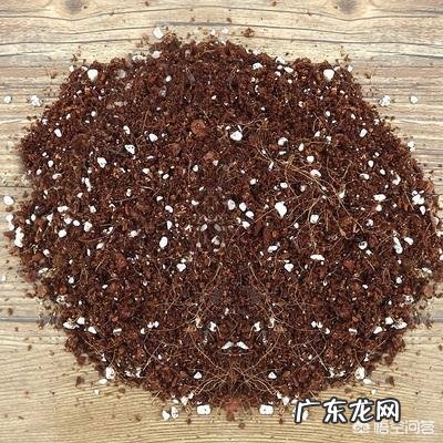 平时种多肉植物和绿植用的营养土,对身体有害吗?对孕妇会不会有影响?