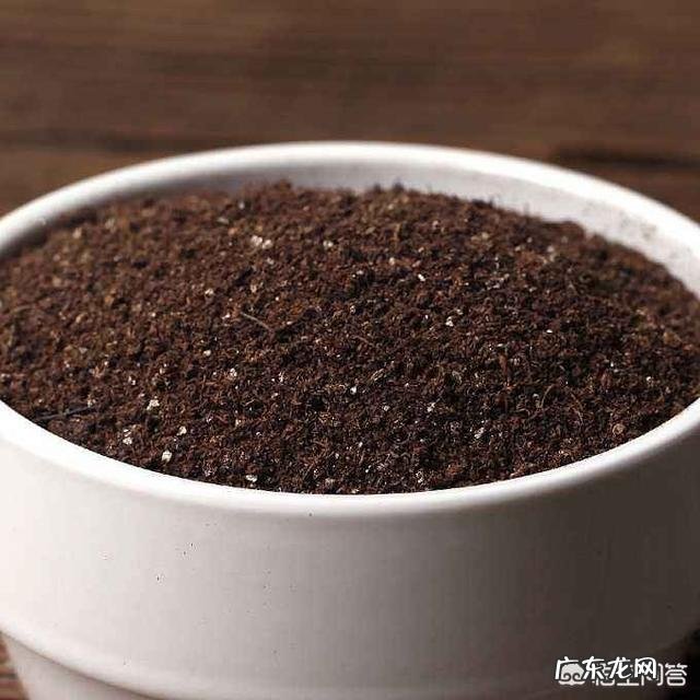 平时种多肉植物和绿植用的营养土,对身体有害吗?对孕妇会不会有影响?