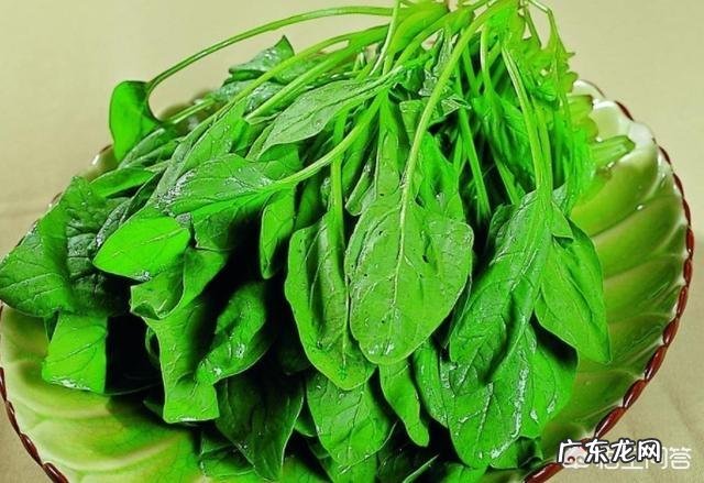 吃什么补气血最快？最好不上火？