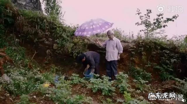 你如何评价《四个春天》这部纪录片？