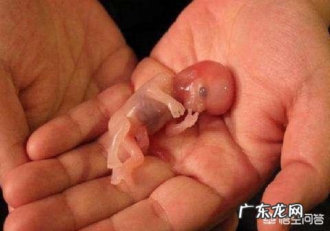 打过胎的女孩怎样看得出来?