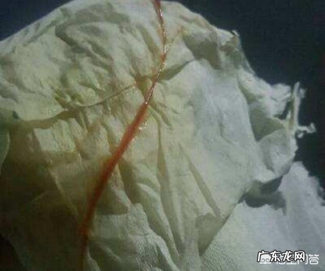 孕晚期见红是什么样的?怎样的是见红呢?