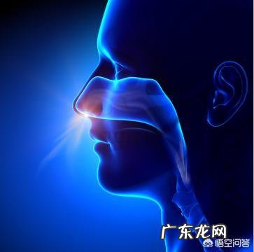 流鼻血是什么原因?