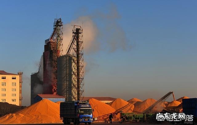 全球粮价飙升,大米、白面会涨价吗?