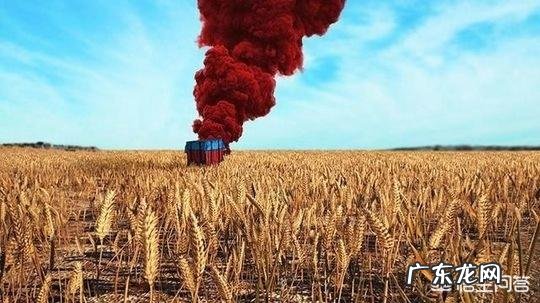 电子竞技成功加入亚运会成为表演项目，我们是否可以把电竞事业当成一种主流职业？