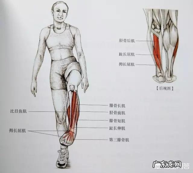 吴昕是怎么变潮的？