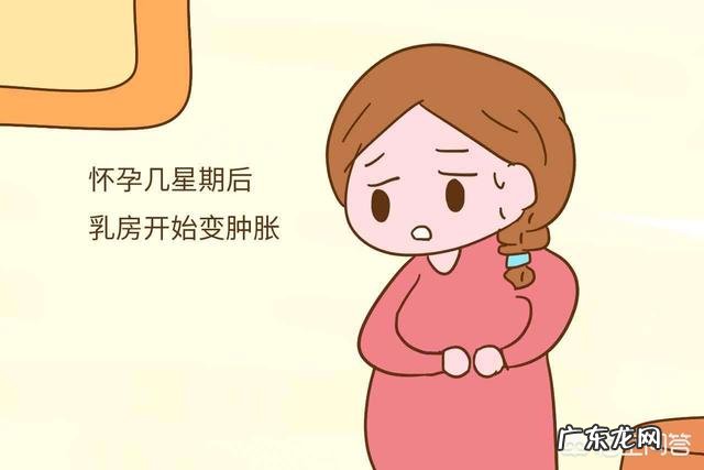 怀孕10天有什么明显表现?试纸测试的出来吗?