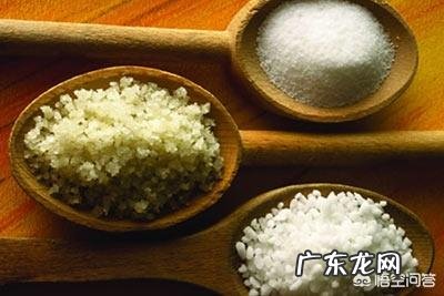 味精的主要成分是什么?