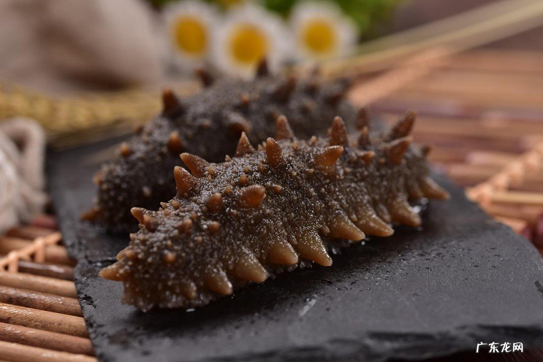 小孩能吃海参吗