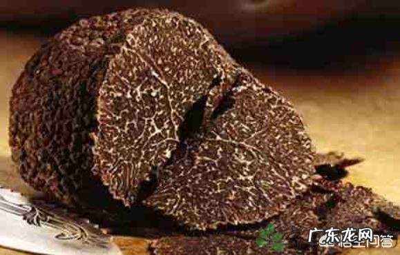 松露是什么味道？闻起来、吃起来是什么感觉？