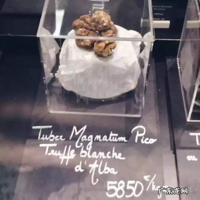 松露是什么味道?闻起来、吃起来是什么感觉?