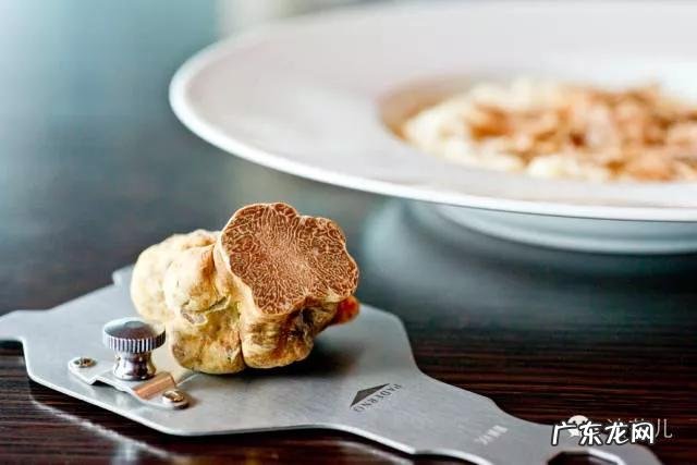 松露是什么味道?闻起来、吃起来是什么感觉?