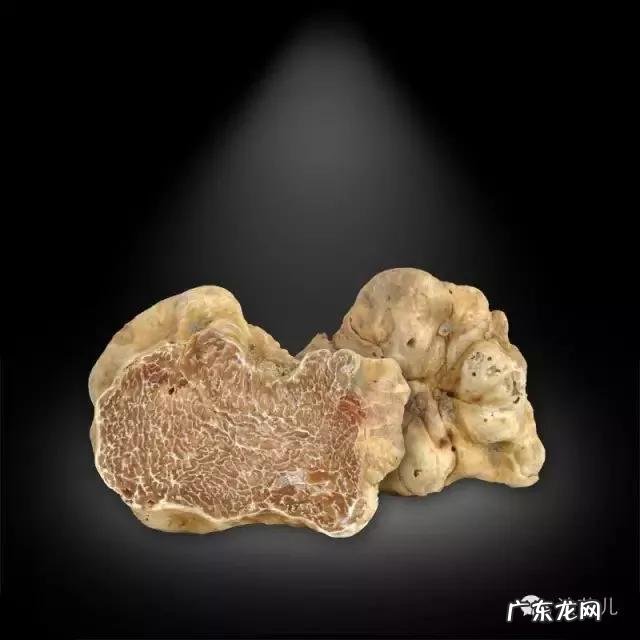 松露是什么味道?闻起来、吃起来是什么感觉?