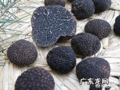 松露是什么味道？闻起来、吃起来是什么感觉？
