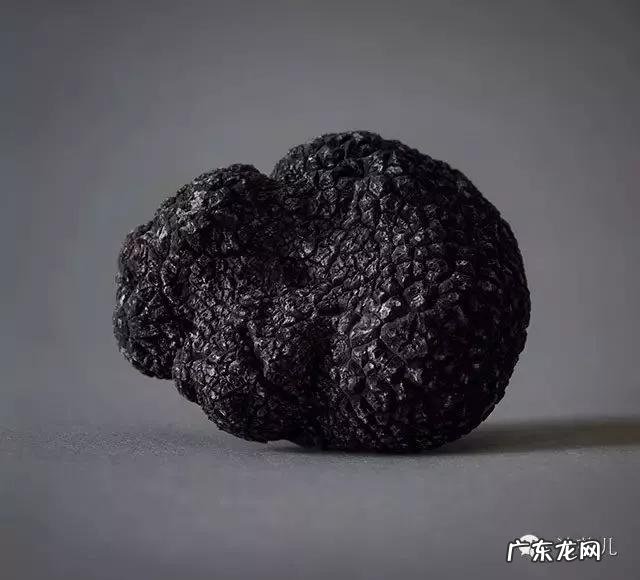 松露是什么味道?闻起来、吃起来是什么感觉?