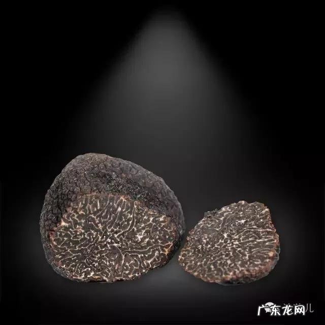 松露是什么味道?闻起来、吃起来是什么感觉?