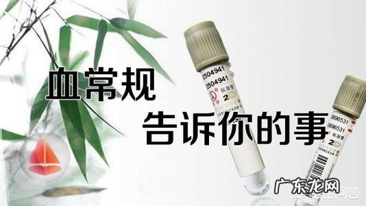 血常规检查主要查哪几项?