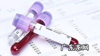 血常规检查主要查哪几项?