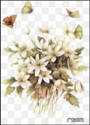 当女人被夫家人孤立了怎么办？