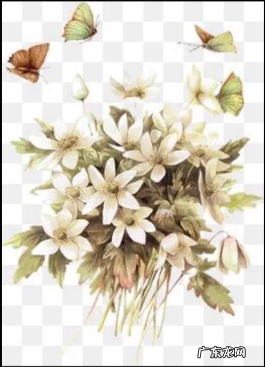 当女人被夫家人孤立了怎么办？