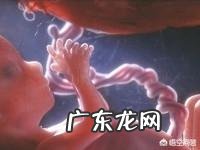 你四个月有胎动吗?是什么感觉?